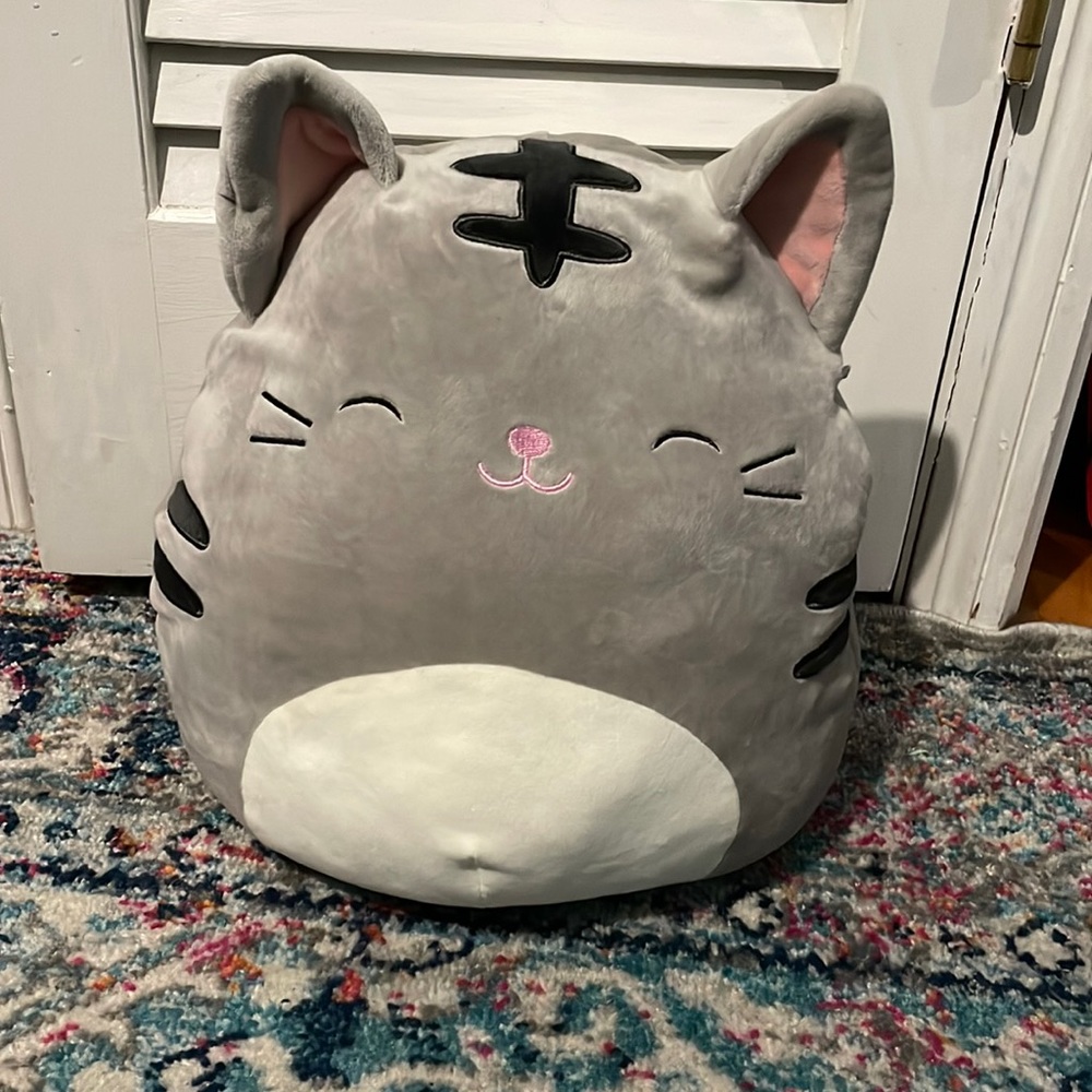 Brand new 12” Tally Squishmallow